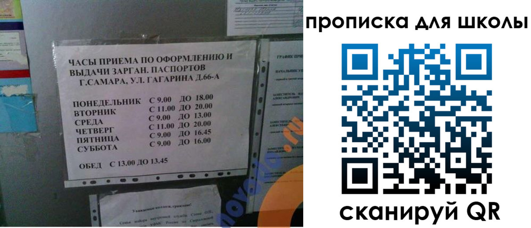 где прописаться в Змеиногорске